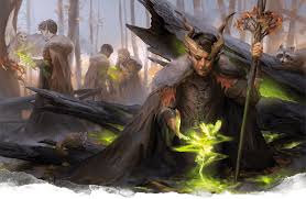 Image result for druid