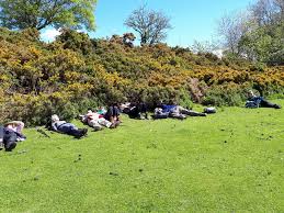 Image result for HALCYON RAMBLING CLUB SHEFFIELD