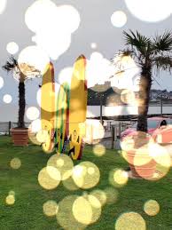 Image result for Criccieth Golf Club