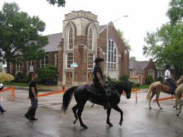 Image result for Old Park Riding Stables