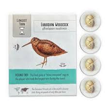 Attēlu rezultāti vaicājumam “Scolopax rusticola eggs”