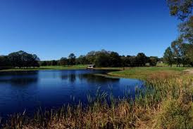 Image result for Exeter Cricket Club