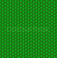 Image result for reptile scales