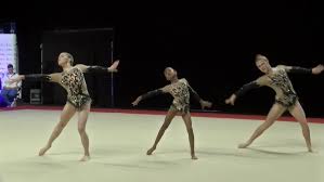 Image result for Heathrow Gymnastics Club