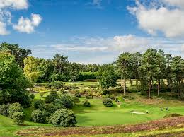 Image result for Hindhead Golf Club