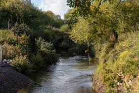 Image result for Bexleyheath and District Sea Angling Society