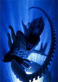 Image result for xenomorph