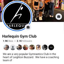 Image result for Harlequins Gymnastics Club
