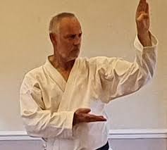 Image result for Twyford Higashi Karate Club