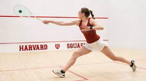 Image result for Brecon Badminton Club