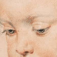 Attēlu rezultāti vaicājumam “Collaria rubens young”