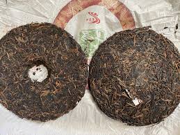 Image result for 2009早春