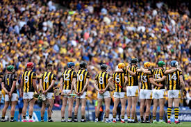Image result for Kilkenny Bandits