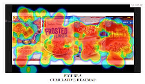 Image result for heat map eye