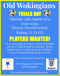 Image result for Old Wokingians Football Club