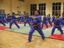  Thi lên cấp cao đẳng Vovinam cần có luận án võ học