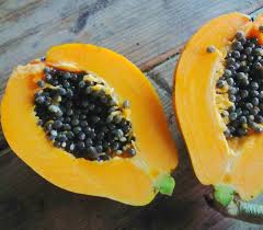 Image result for Carica papaya