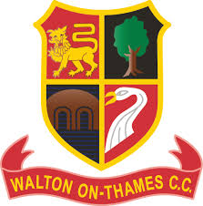 Image result for Walton-On-Thames Bowling Club