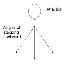 Image result for TRIANGLE CHANGQUAN FLYING DRAGON