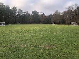 Image result for Shalford F C