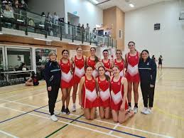 Image result for Winchester Netball Club