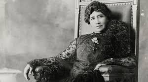 Attēlu rezultāti vaicājumam “Leiocolea rutheana”