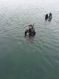 Image result for Cleveland Divers