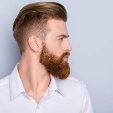 Billedresultat for herrefrisurer