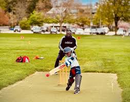 Image result for Forest Green Estonia Cricket Club