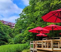 Image result for Kakumei Kan Aikikai (Middlesbrough)