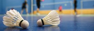 Image result for Lessa Em Badminton Club