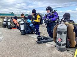 Image result for Seabug Divers
