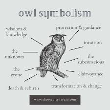 Image result for owl illuminati symbol