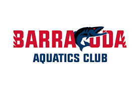 Image result for Black Country Barracudas Sub Aqua Club