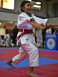 Image result for Hetton and Murton Karate Academy