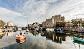 Image result for Castle Rushen Divers