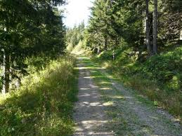 Attēlu rezultāti vaicājumam “Lacanobia contigua”