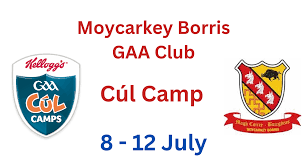 Image result for Moycarkey-Borris Gaa Club