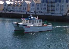 Image result for British Conger Club