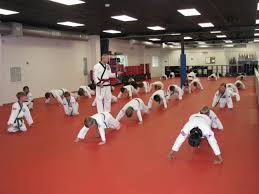 Image result for Caversham Karate Club SSKA