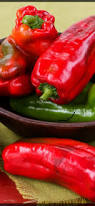 Afbeeldingsresultaat voor long red marconi sweet pepper
