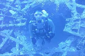Image result for Southdown Divers