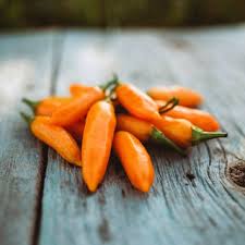 Afbeeldingsresultaat voor thai yellow hot pepper