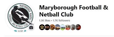 Image result for Ledbury Magpies Netball Club