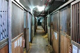 Image result for Old Park Riding Stables