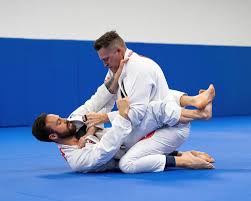 Image result for Brazilian-martial arts