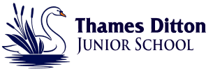 Image result for Thames Ditton Schools Fc