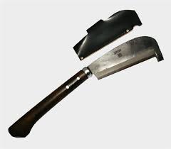 「海老塚刃」の画像検索結果