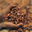 Cocoa : Cocoa Beans : Cocoa Butter