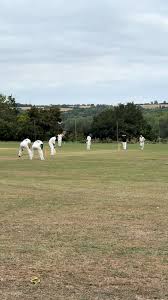 Image result for Hampton Hill Cricket Club